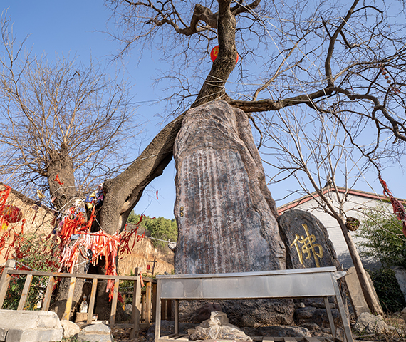 洛阳龙潭寺